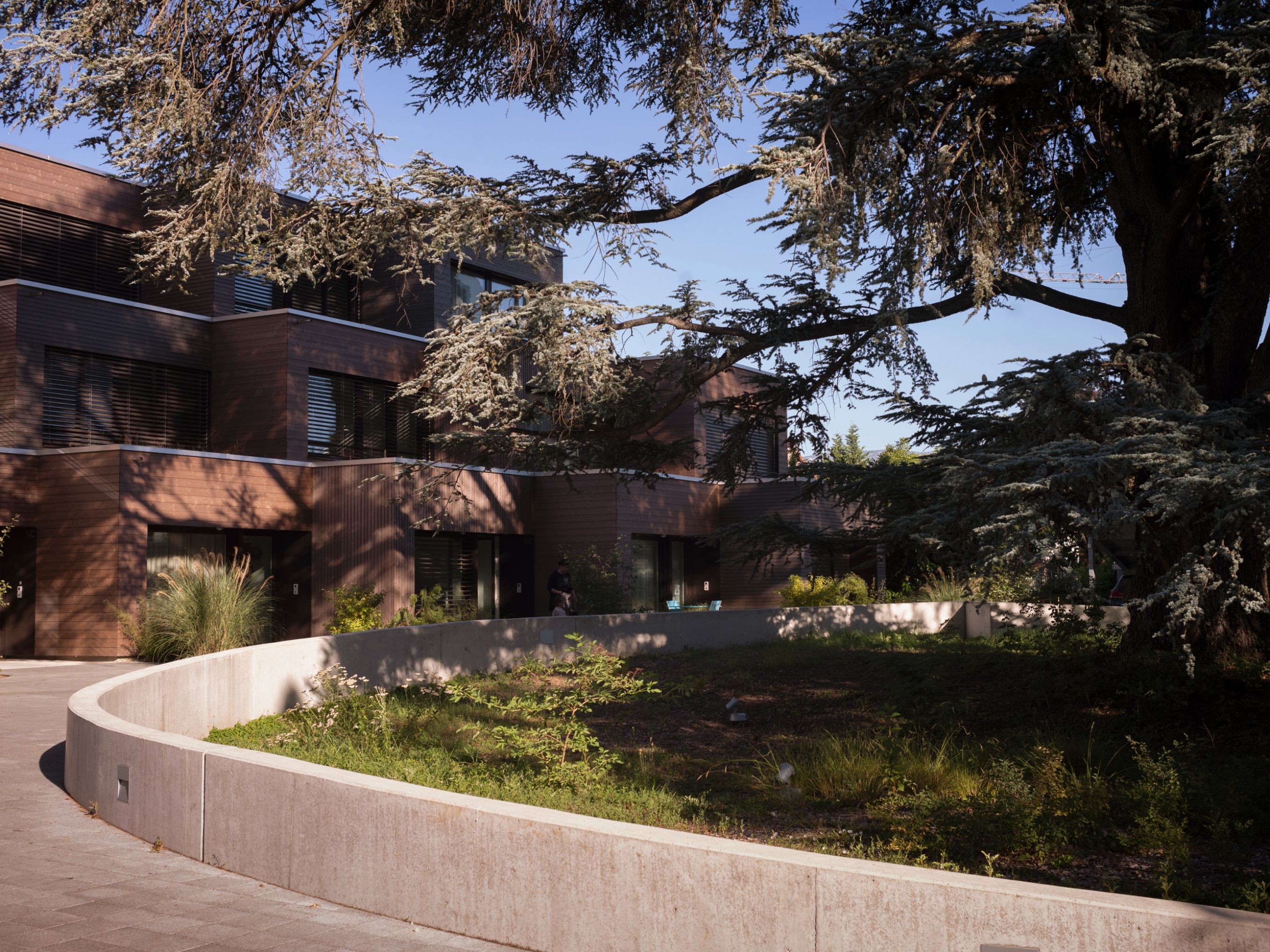 Cedar Housing FdMP architectes geneve