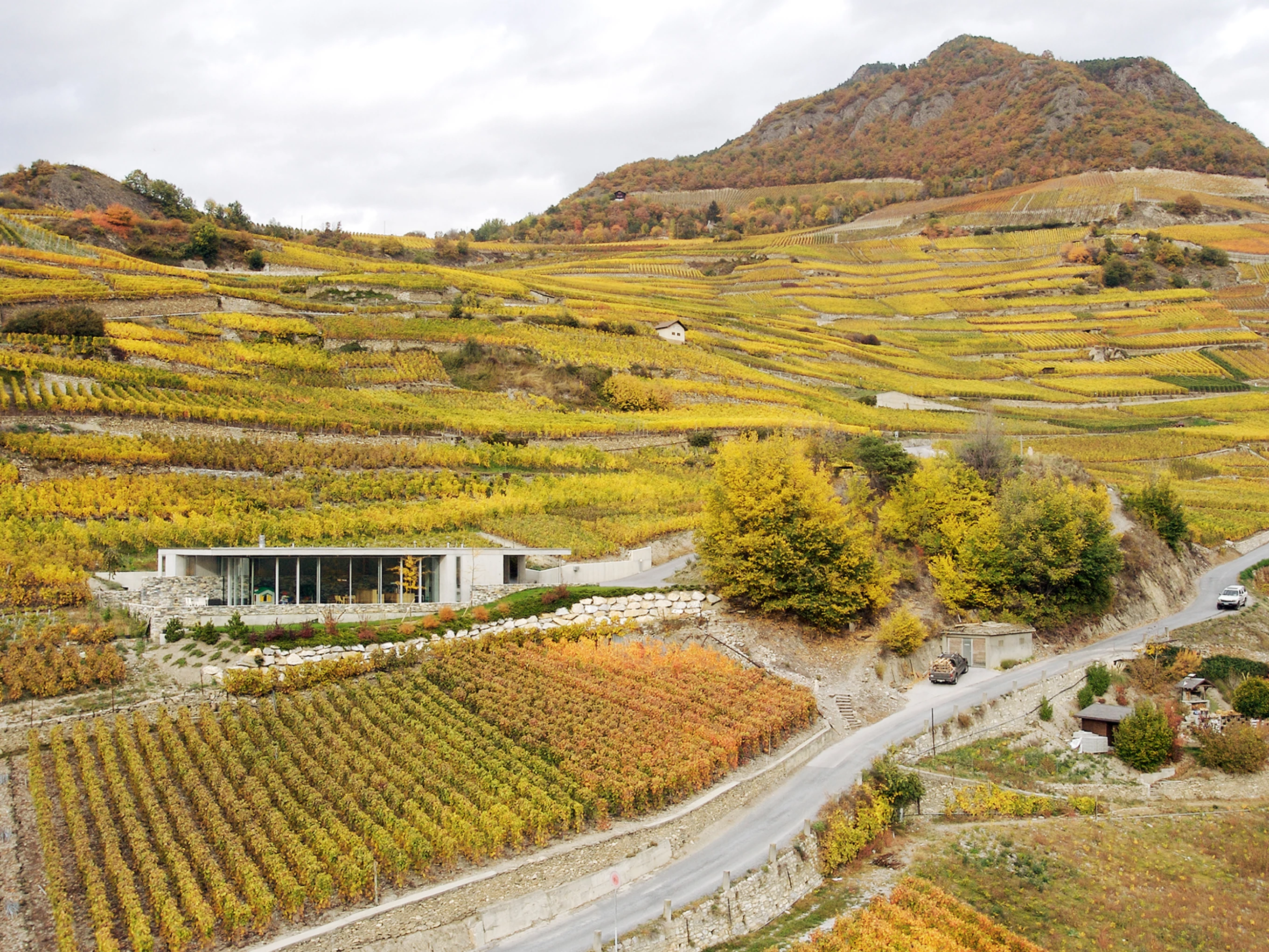 villa maison vignes suisse