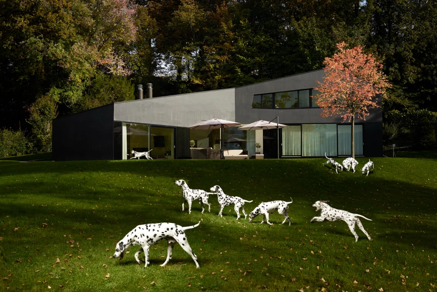 maison béton noir teinté