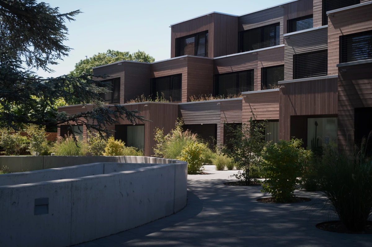 building front cedar courtyard cedar housing fdmp architects