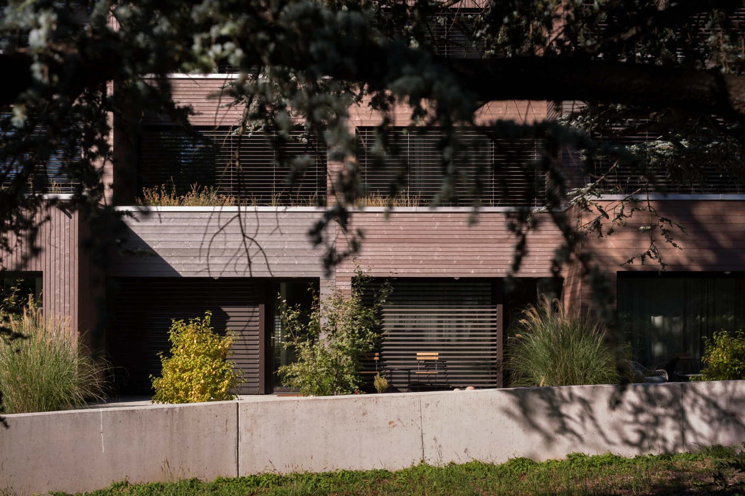 Building front and cladding detail cedar housing fdmp architects