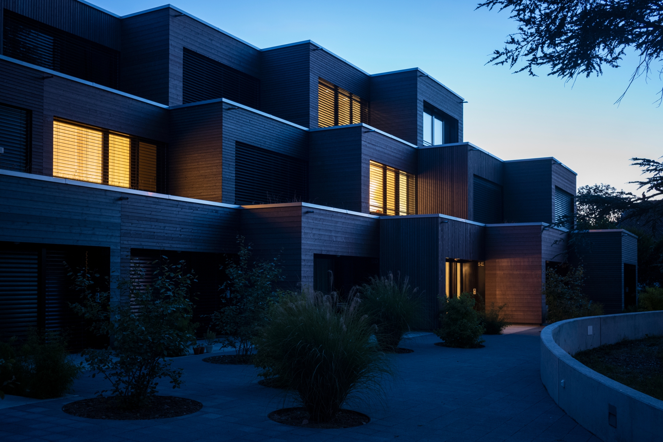facade cour et cedre nuit cedar housing fdmp architectes
