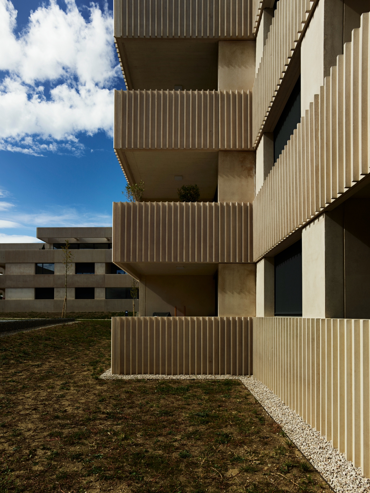 Vue de l'ensemble Big Field Housing FdMP architectes